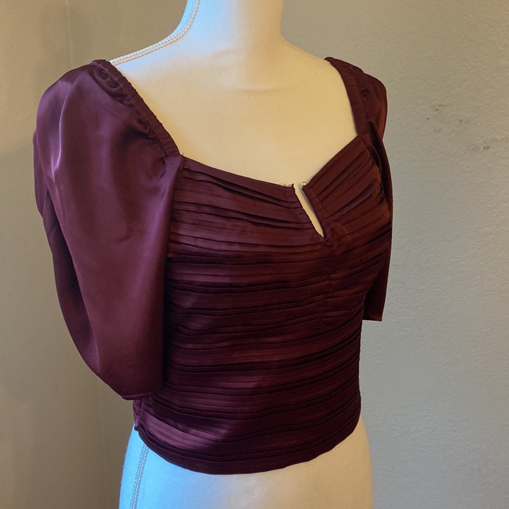 EXPRESS PLUM CROP TOP - NWT